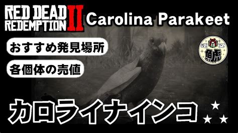 Carolina parakeet rdr2