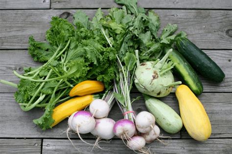 Benefits Of Growing Your Own Food Cooks Harvest