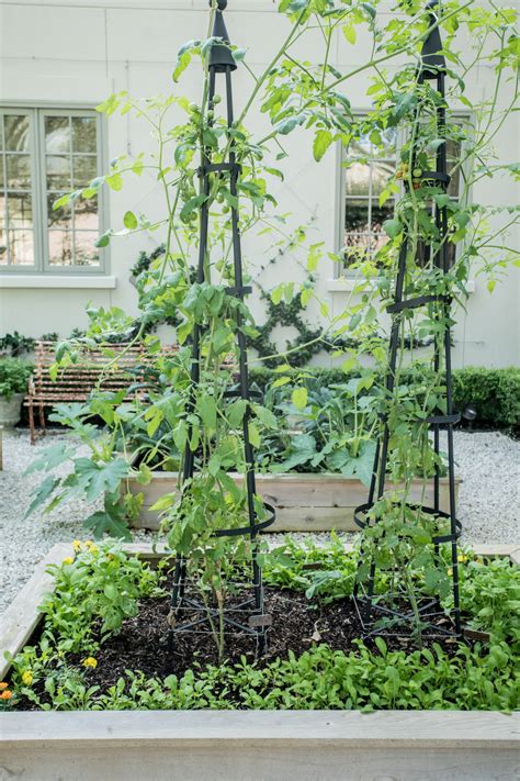 obelisk trellis ideas   vegetable garden gardenary
