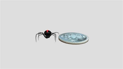 Redback spider - 3D model by goldendog [1ed321e] - Sketchfab