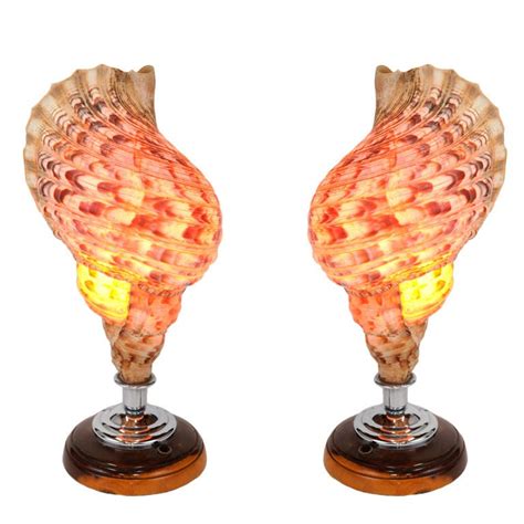 Pair Of Hawaiian Conch Shell Lamps At 1stdibs Conch Shell Hawaii