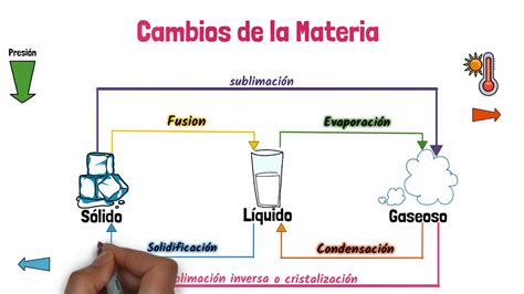 Naturales 3º De Primaria Felipe Ii Educamadrid