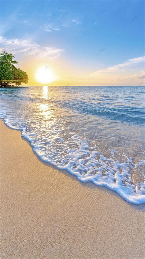Praia Areia Dourada - Fundo Uma Bela Praia Com Areia Dourada Céu Azul E Sol Brilhando No Mar ...