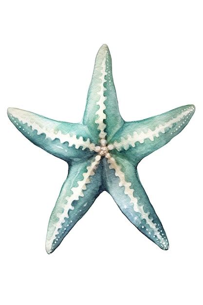 Aquarela De Estrela Do Mar Isolada Em Fundo Branco Generative Ai