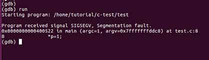 Detecting And Solving Segmentation Faults In Linux Containers