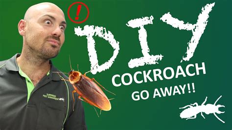 How To Get RID Of Cockroaches At Home DIY Pest Control YouTube