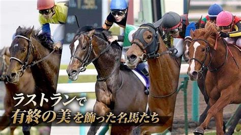 有馬記念で有終の美を飾ったスターホースたち！思い出の有馬記念が蘇る 競馬まとめニュース