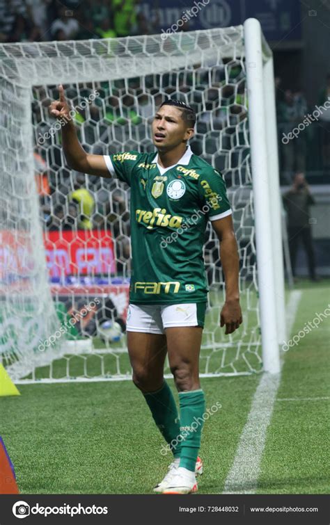 Sao Paulo Feria Brasileiro Palmeiras Junio Allianz Parque