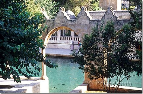 Photo Urfa Bassin D Abraham Lac Des Poissons Fishes Lake