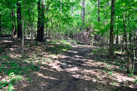 Noxubee National Wildlife Refuge In Mississippi