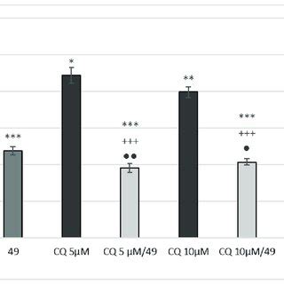 Effect Of Chloroquine Cq On A Cell Survival Either Alone Or In