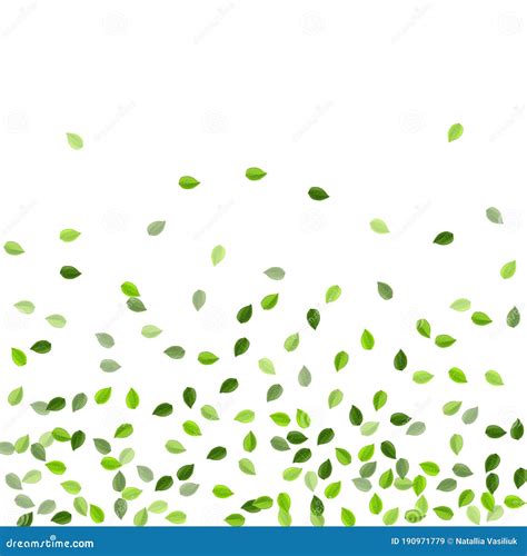 Swamp Leaf Forest Vector Background Nature Cartoondealer