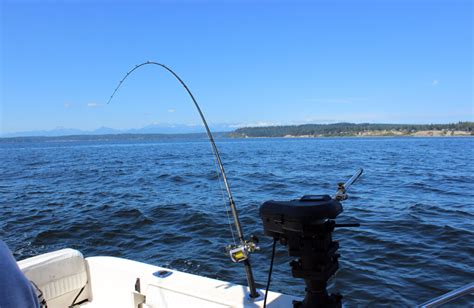 Jeff Head Salmon Fishing And Bainbridge Crabbing