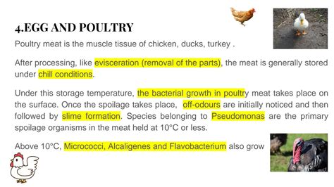 SOLUTION Module 5 Food Spoilage And Contamination In Different Types