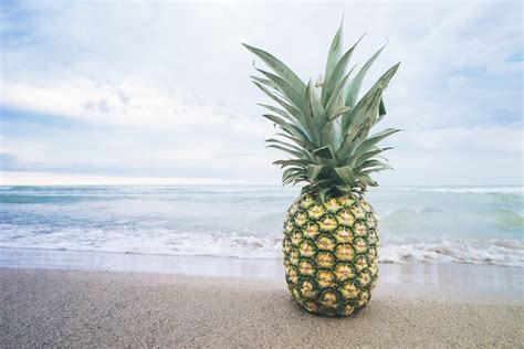 Pineapple on seashore HD wallpaper | Wallpaper Flare