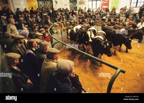 Banbury Cattle Market Hi Res Stock Photography And Images Alamy