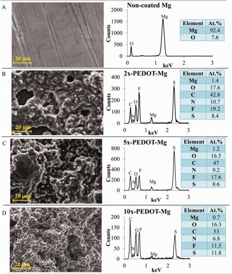 SEM Cross Sectional Images Of PEDOT Coated Mg Samples Placed On A 90o