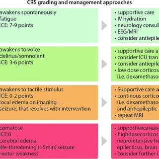 Clinical And Nerve Excitability Data Oxaliplatin Dosages Presence Of