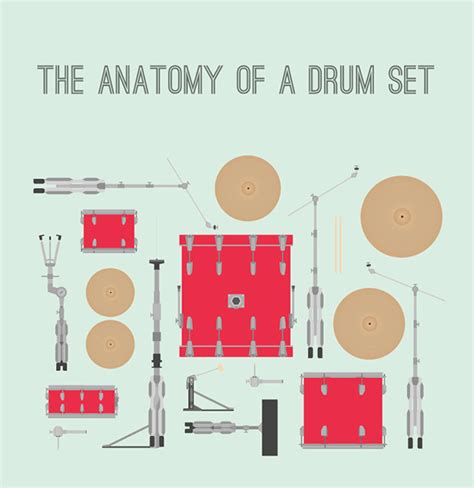 The Anatomy of a Drum Set on Behance