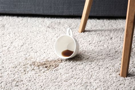 How to remove coffee stains from carpets, clothes, and more | Coffee