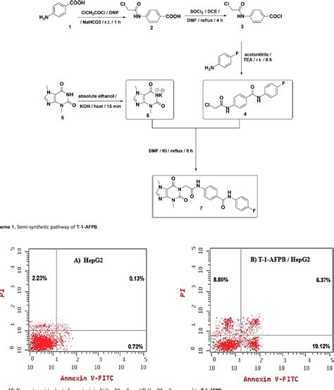 Figure From A Theobromine Derivative With Anticancer Properties