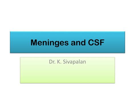 Ppt Meninges And Csf Powerpoint Presentation Free Download Id4917396