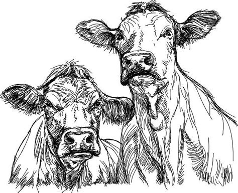 22900 Cow Drawing Stock Illustrations Royalty Free Vector Graphics