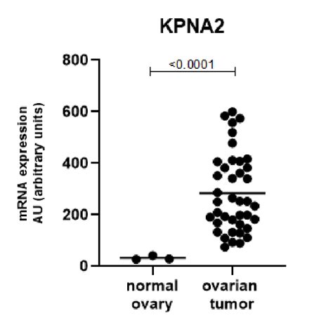 KPNA2 Is Expressed At Significantly Higher Levels In HGSC Tumors When