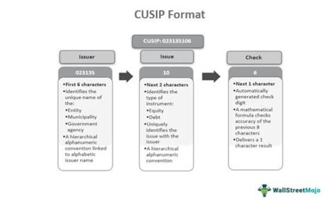 CUSIP Number What Is It How To Find Example Format