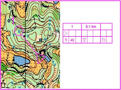 Example Of A Precise Map For Orienteering Full Size Doi Download Scientific Diagram