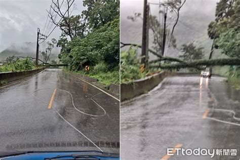 快訊／高雄暴雨不停！桃源南橫公路「路樹倒塌」壓電纜 雙向受阻 Ettoday社會新聞 Ettoday新聞雲