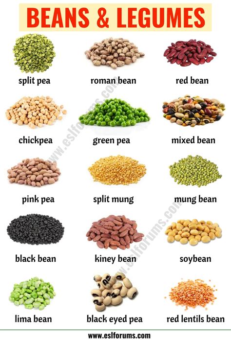 Types of Beans: 15 Different Types of Beans & Legumes with the Picture - ESL Forums