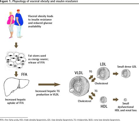 Approach To Identifying And Managing Atherogenic Dyslipidemia The