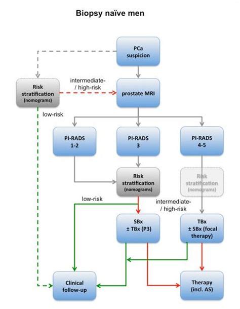 Multiparametric MRI of the prostate - European Radiology