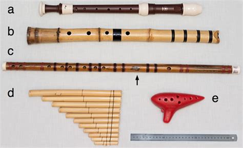 Types Of Flutes 21 Different Types Explained Phamox Music 41 Off