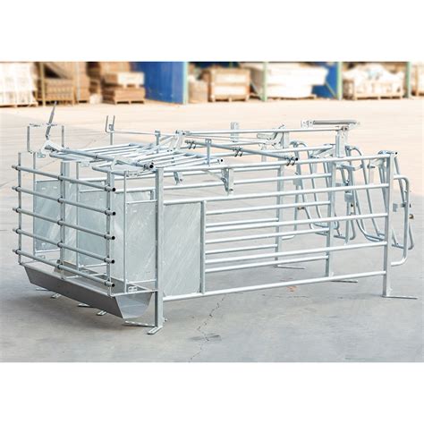 Hot DIP Galvanized Steel Pipe Gestation Crate Pig Farm Equipment Sow