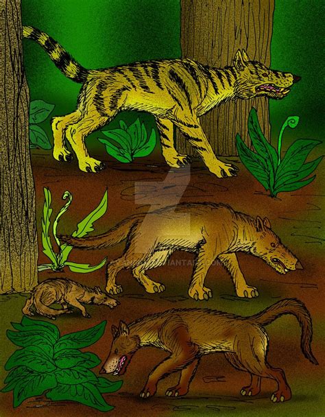 Various mesonychids from Late Paleocene China, from top, Sinonyx jiashanenesis, Jiangxia ...