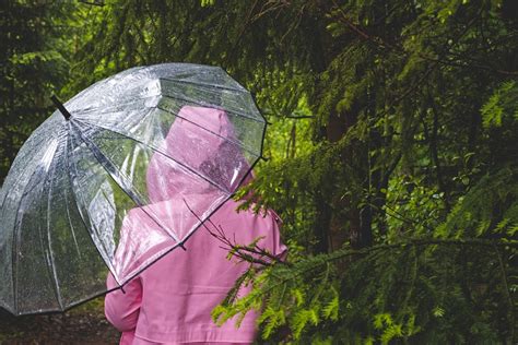 Allerta Meteo a NordEst fino a mercoledì forti rovesci locali