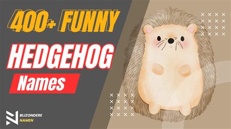 400+ Funny Hedgehog Names (Hilariously Cute) - Names Crunch