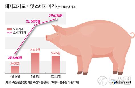 한달 새 10 ↑ 여름 성수기에 구제역 우려에 돼지고기 물가 비상