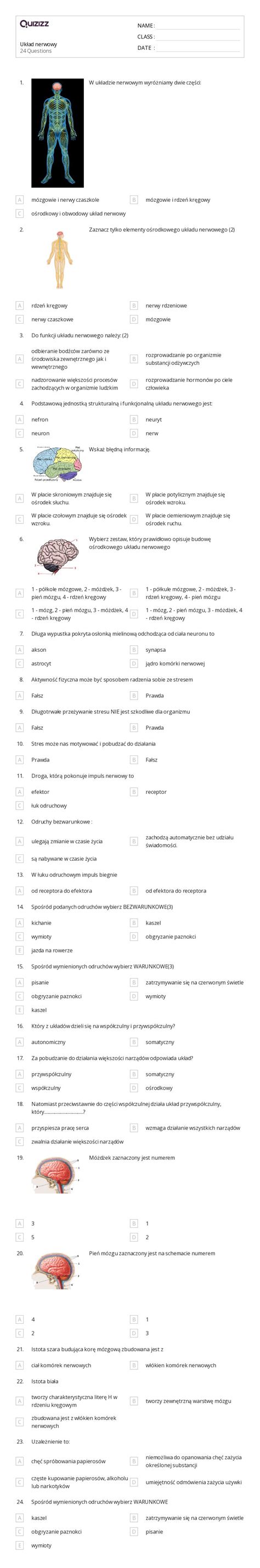 Ponad 50 Burza mózgów arkuszy roboczych dla Klasa 7 w Quizizz Darmowe