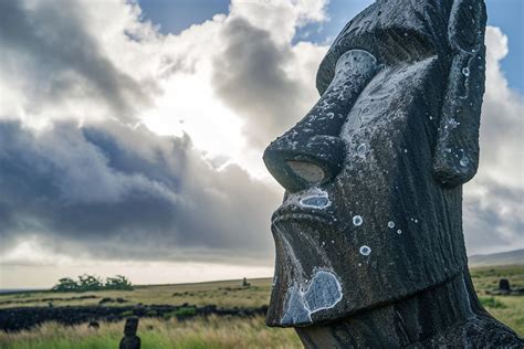 decouvrez les secrets des statues de lile de paques