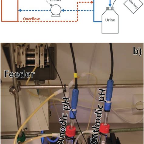 a) Experiment flowchart (WE = working electrode, CE = counter ...