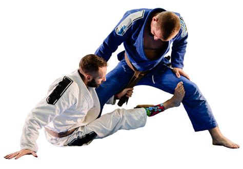 Brazilian Jiu Jitsu Classes in East Brunswick - Revel Jiu Jitsu