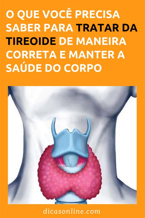 8 dicas para você cuidar bem da sua tireóide Tireoide Remedios para