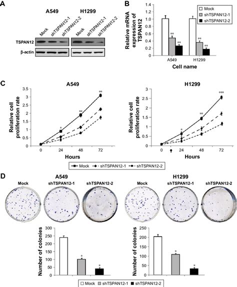 Silencing Of Tspan Inhibits Nsclc Cell Viability And Proliferation