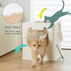 Amazon Pawsayes Cat Litter Box With Lid Covered Top Entry Kitten