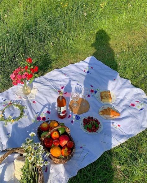 35 Picnic Aesthetic Photoshoot Ideas Picnic Spring Aesthetic