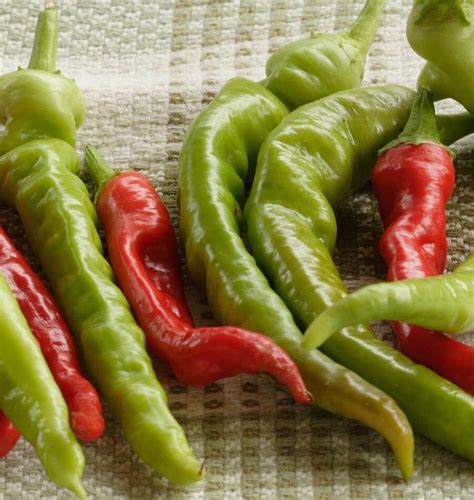 Pepperoncini Pepper Seeds – West Coast Seeds