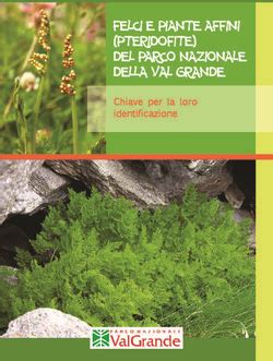 FELCI E PIANTE AFFINI PTERIDOFITE DEL PARCO NAZIONALE DELLA VAL